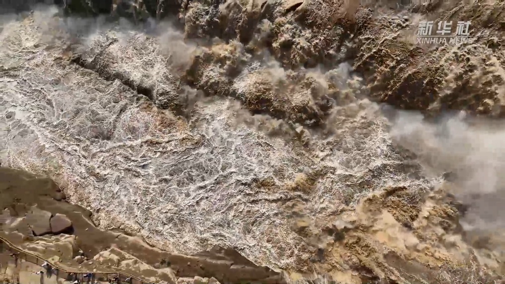 博狗在线投注